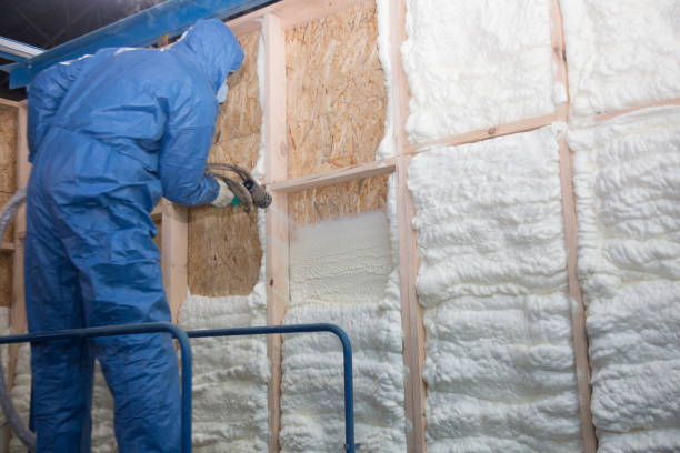 Best Thermal Imaging for Insulation Gaps in Malabar, FL